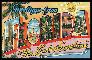 greetings from Florida vintage postcard