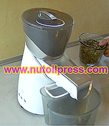 Hot Cold Automatic Oil Press Machine Nut Seed Oil Presser for Home US
