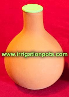 NEW oya irragation pot with silicone lid