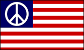 Peace USA Flag