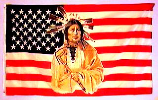 Native American Flag USA